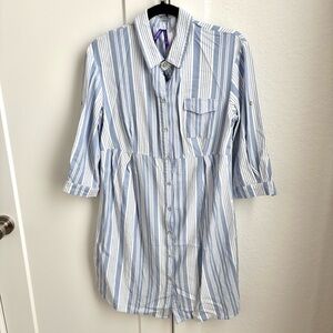 Seraphine Blue Striped Maternity Shirtdress